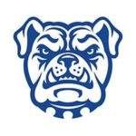 Tennessee Wesleyan University logo